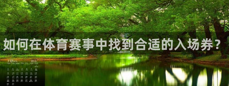 如何在体育赛事中找到合适的入场券？