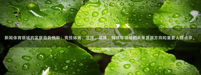 新闻体育领域的发展趋势预测：竞技体育、足球、篮球、网球等领域的未来发展方向和重要人物点评。
