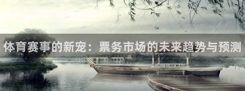 体育赛事的新宠：票务市场的未来趋势与预测