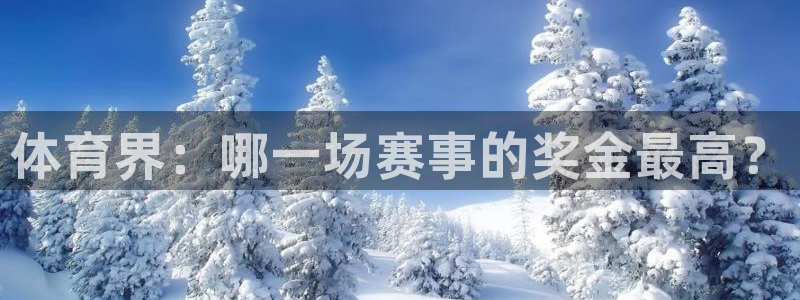 体育界：哪一场赛事的奖金最高？