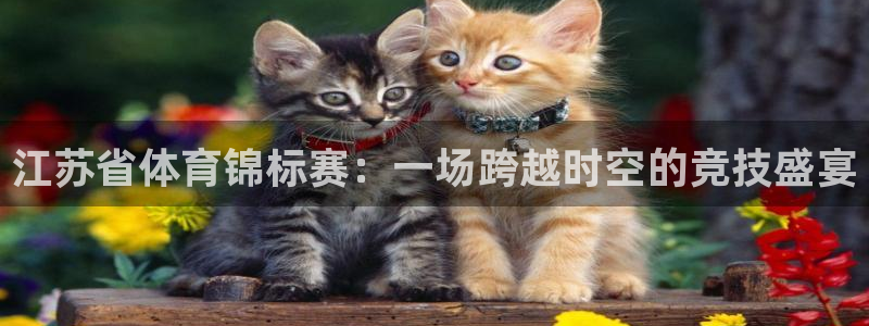 江苏省体育锦标赛：一场跨越时空的竞技盛宴