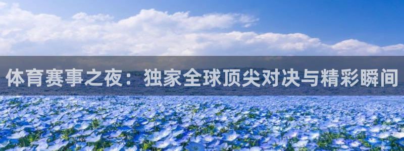 体育赛事之夜：独家全球顶尖对决与精彩瞬间