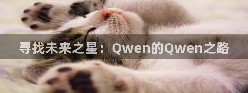 寻找未来之星：Qwen的Qwen之路