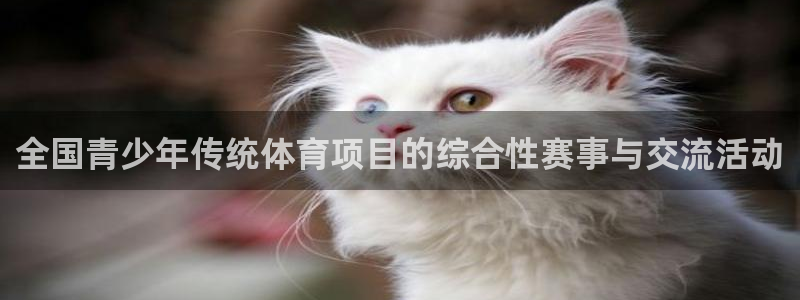 全国青少年传统体育项目的综合性赛事与交流活动