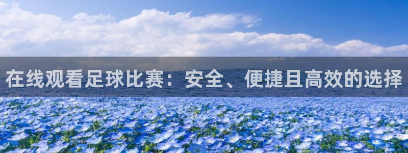 在线观看足球比赛：安全、便捷且高效的选择