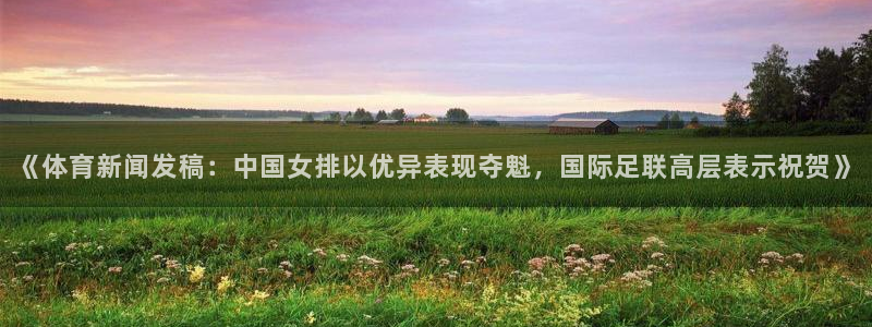 《体育新闻发稿：中国女排以优异表现夺魁，国际足联高层表示祝贺》