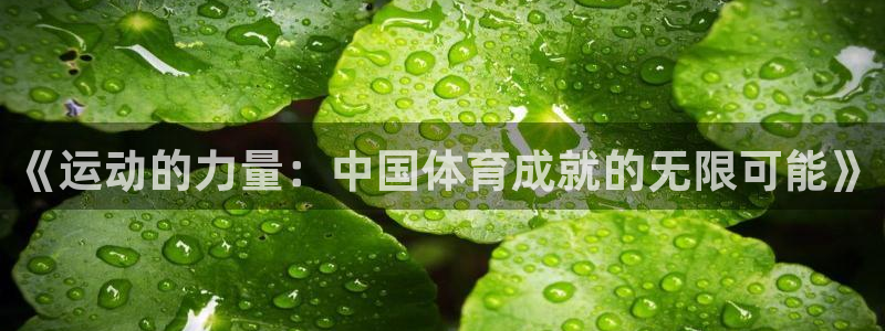 《运动的力量：中国体育成就的无限可能》