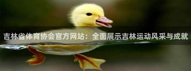 吉林省体育协会官方网站：全面展示吉林运动风采与成就
