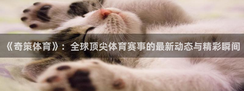 《奇策体育》：全球顶尖体育赛事的最新动态与精彩瞬间