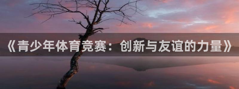 《青少年体育竞赛：创新与友谊的力量》