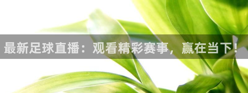 最新足球直播：观看精彩赛事，赢在当下！