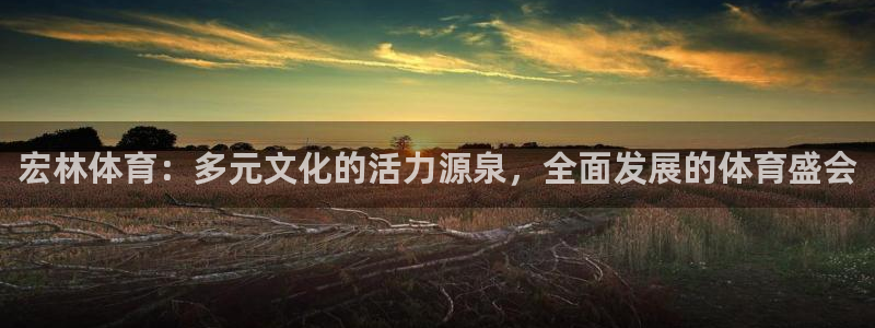 宏林体育：多元文化的活力源泉，全面发展的体育盛会