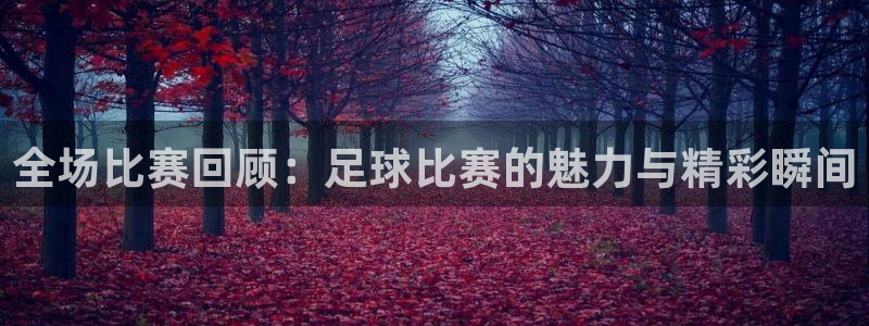 全场比赛回顾：足球比赛的魅力与精彩瞬间