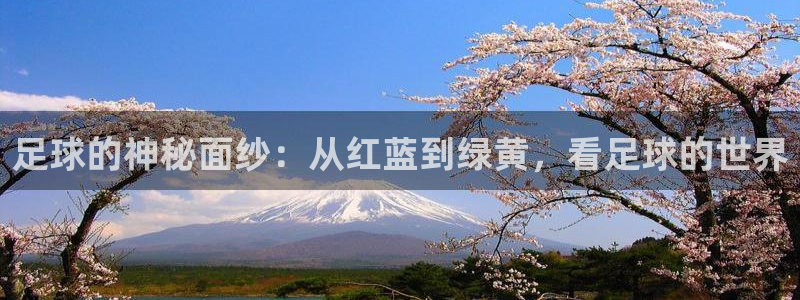 足球的神秘面纱：从红蓝到绿黄，看足球的世界