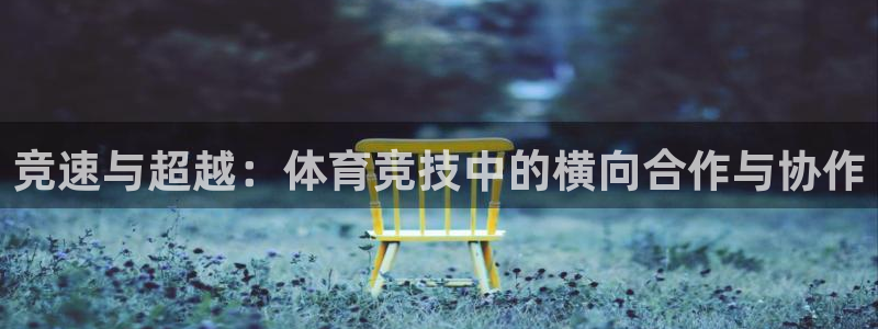竞速与超越：体育竞技中的横向合作与协作