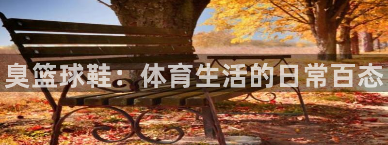 臭篮球鞋：体育生活的日常百态