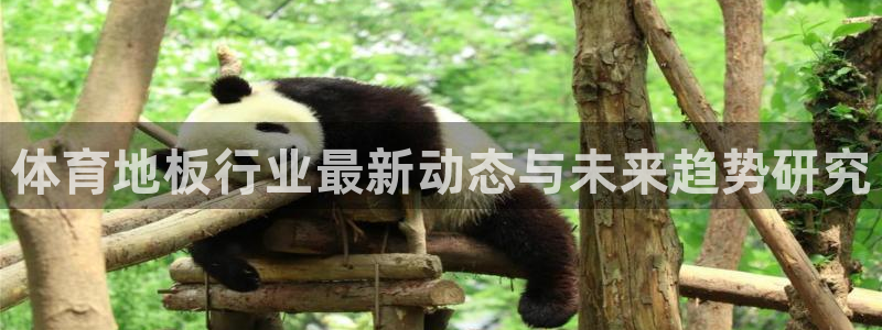 体育地板行业最新动态与未来趋势研究