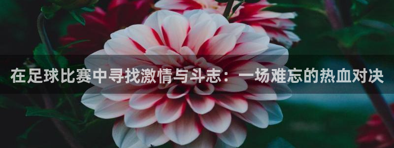 在足球比赛中寻找激情与斗志：一场难忘的热血对决