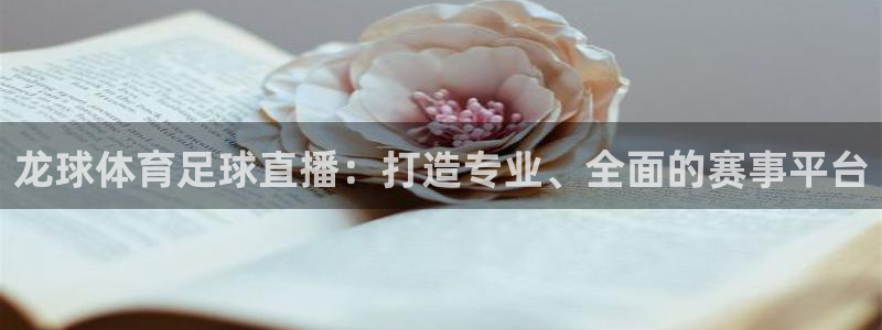 龙球体育足球直播：打造专业、全面的赛事平台