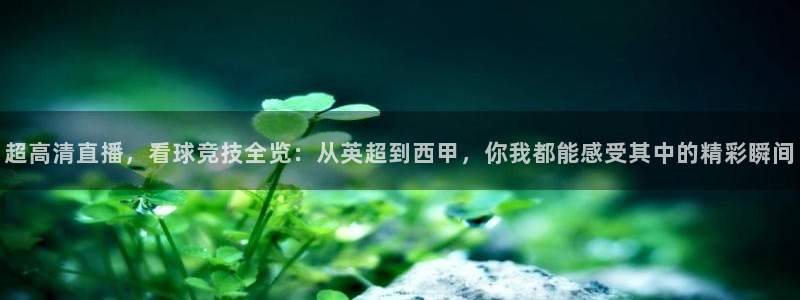 超高清直播，看球竞技全览：从英超到西甲，你我都能感受其中的精彩瞬间