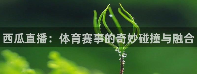西瓜直播：体育赛事的奇妙碰撞与融合