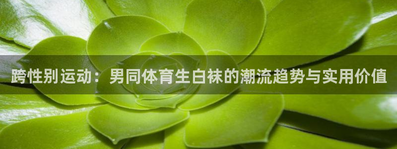 跨性别运动：男同体育生白袜的潮流趋势与实用价值