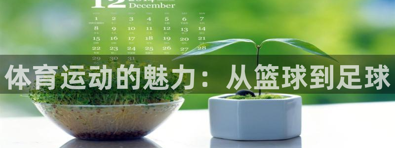 体育运动的魅力：从篮球到足球