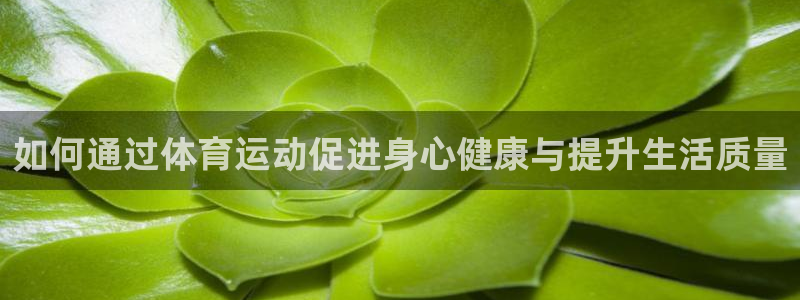 如何通过体育运动促进身心健康与提升生活质量