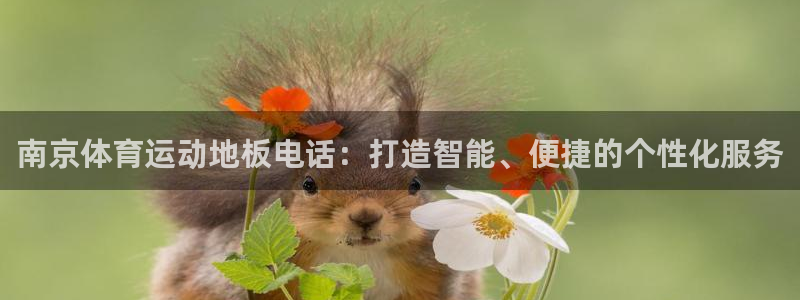 南京体育运动地板电话：打造智能、便捷的个性化服务